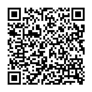 昨日被秦宇拉住的小女孩坐在秋千上听着她面前的一位中年男子的汇报之后二维码生成