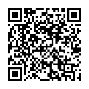 昨日还觉得他保不齐是那世族高门里走出来的游学公子二维码生成