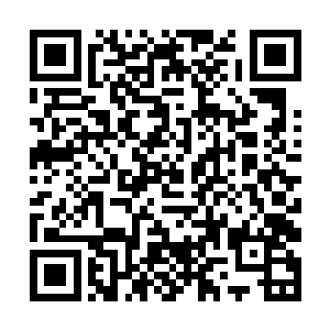 昨晚不知道哪根神经搭错了才来上了最后一节晚自习二维码生成