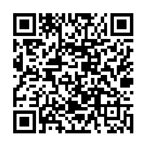 昨晚我们所有人都看见林星把黑白照片扔出了窗外二维码生成