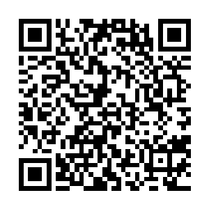 昨晚特意上网查看了他和孟瑶商量好的那几款车型的参数二维码生成