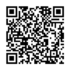 昨晚萨姆的妻子陈琴就已经过来开始照料凌儿的起居了二维码生成