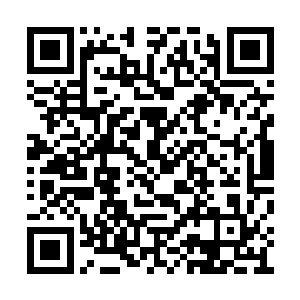 是一个体型比普通魔螳要大上一圈的巨型魔螳将二维码生成