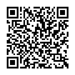 是一个倾向于将修真大道和修仙大道融合到一起二维码生成