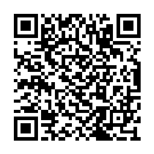 是一个生物能量化到达极致后会出现的一个情况二维码生成