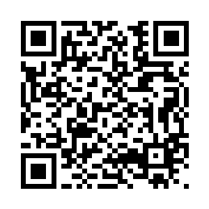 是一个能够替代现代武器的种子武器二维码生成