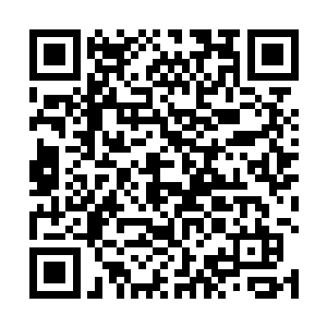 是一件仅仅遮挡住胸口风光以及一部分平坦腹部的肚兜二维码生成