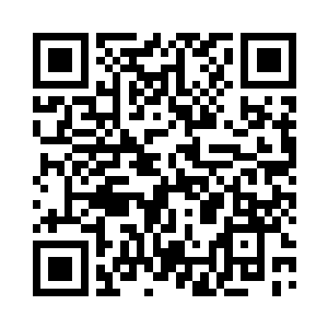 是一棵比一根筷子长不了多少的小树苗二维码生成