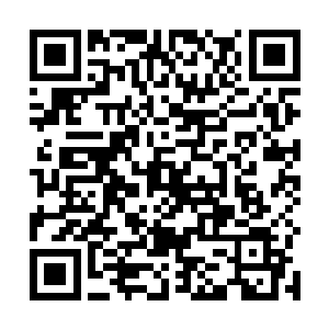 是一直在创造奇迹的智为科技创造的又一个互联网神话二维码生成