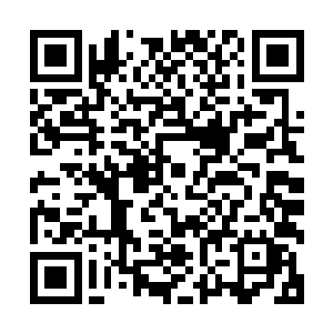 是一种介于丹宗那四宗联盟和星域宗两宗联盟之间的一种结盟二维码生成