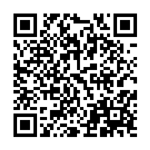 是一系列狼狈的魔法兽尸体以及更多的陷阱发动后的痕迹二维码生成