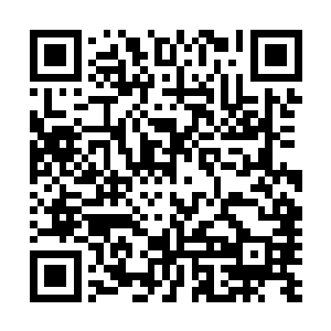 是不会为了一个纨绔子弟去得罪一个潜力无限的超级高手的二维码生成