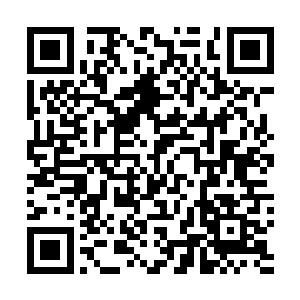 是不会想到连窗帘的颜色都挑选适合宜身心放松的色彩的二维码生成
