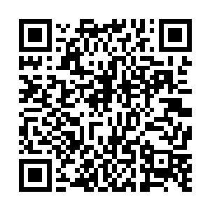 是不会马上拿着刀子照着深爱过的那个人心脏捅过去的二维码生成