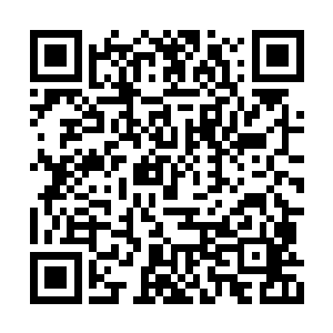 是不允许杀人的否则会被星盗给抓去喂养黑魔蛟二维码生成