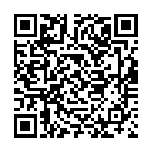 是不可能给遗传工程实验室从国家要来大笔的经费的二维码生成