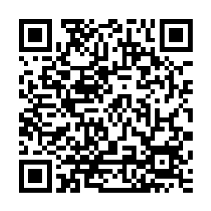 是不宜让某一个国家在我国核电产业领域占据绝对优势地位的二维码生成