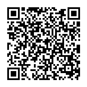 是不是七少爷有什么事和夫人闹得不愉快……我看七少爷走出来的时候走得很快二维码生成