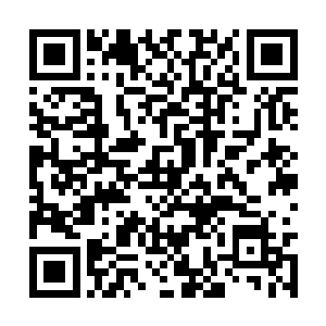 是不是也意味着与雨果年龄相近的族群也都不喜欢二维码生成