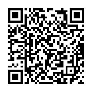 是不是买项链的钱都在租我爸爸的设备里省出来了二维码生成