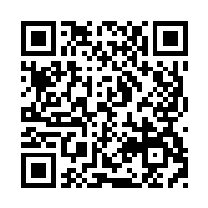 是不是你们的那个缩头缩脑了两年多的领袖二维码生成