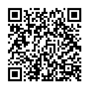 是不是你觉得你的机巧心思能瞒过那些活了数万年的神明二维码生成