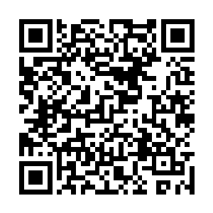 是不是准备请一支名叫theone的乐队去做表演嘉宾呀二维码生成