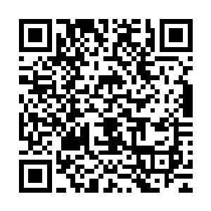 是不是前段时间一直说的那些把妻儿财产都转移到国外的官员二维码生成