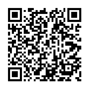 是不是只有秦司长才能给你们省里带来好项目啊二维码生成