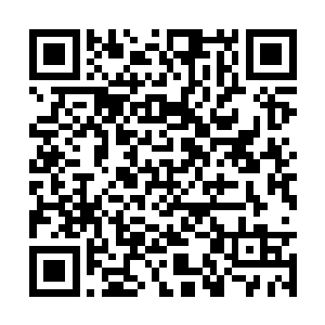 是不是可以考虑收一些实力强的修士加入到太虚宗二维码生成