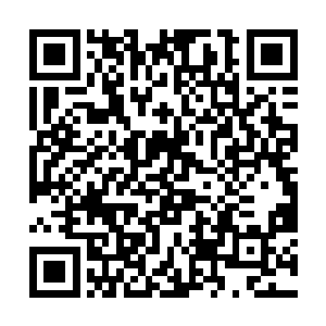 是不是就可以直接炼化这种力量来提升自己的境界了二维码生成