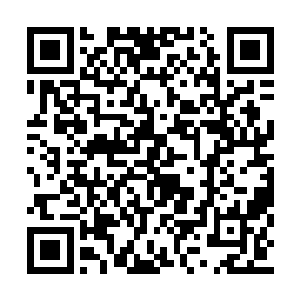 是不是就意味着自己马上就能变成百万富翁了呢二维码生成