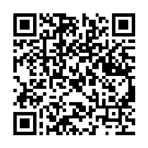 是不是很危险要不然为什么连九级海盗团都说不去二维码生成