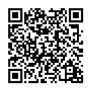 是不是意味着他那一半的精灵宝钻归到了我的名下二维码生成