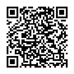是不是把系统放在你们这里研究还是看他怎么说吧二维码生成