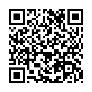 是不是来自同一个宇宙……的确挺好分辨的二维码生成