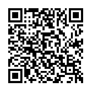 是不是罗宾川接到了想要杀慕心怡与田蜜的任务二维码生成