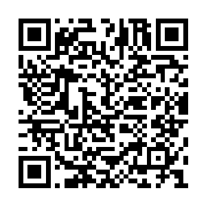 是不是能够得到足以支撑他们进行反抗的好处了二维码生成