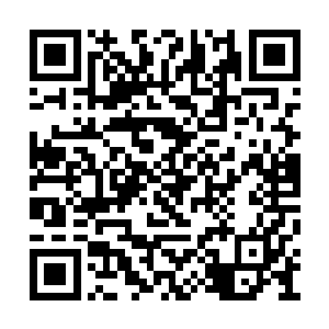 是不是觉得自己去中央党校一年制中青班学习了二维码生成
