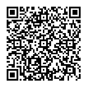 是不是还有更多的存在于那个远古时期的巨兽存在于这个世界的某个不为人知的地方二维码生成