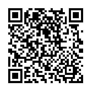 是不是还能看到美女老板那完美无瑕的裸露身体呢二维码生成