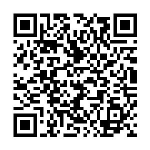 是不是那个那个……然后你家娘子才会跟李固那个那个……二维码生成