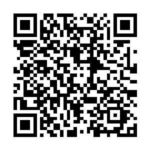 是不需要像你们人类修士那样用大块的时间打坐修炼的二维码生成