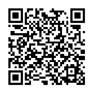 是专门为了抵挡圣弃界的存在才在同一时期衍生的二维码生成