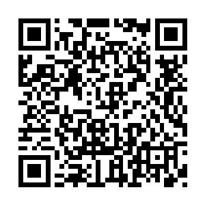 是世界上为数不多的能够离开水短暂存活的鱼类二维码生成