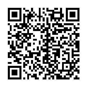 是个人都明白这个看似公平的规则其实没有一点儿公平可言二维码生成