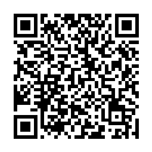 是个化神巅峰的出手以阵法来困住此兽应该是没问题的二维码生成