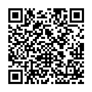 是丰登房地产有限公司开发建设之后整体出租给了一个外地女人二维码生成