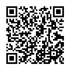 是临时过来守护东海岸的珍珠六港和千帆之城的二维码生成