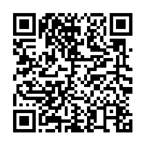 是为了拯救这么多被飞虹舰队拉去当替死鬼和炮灰的普通人二维码生成